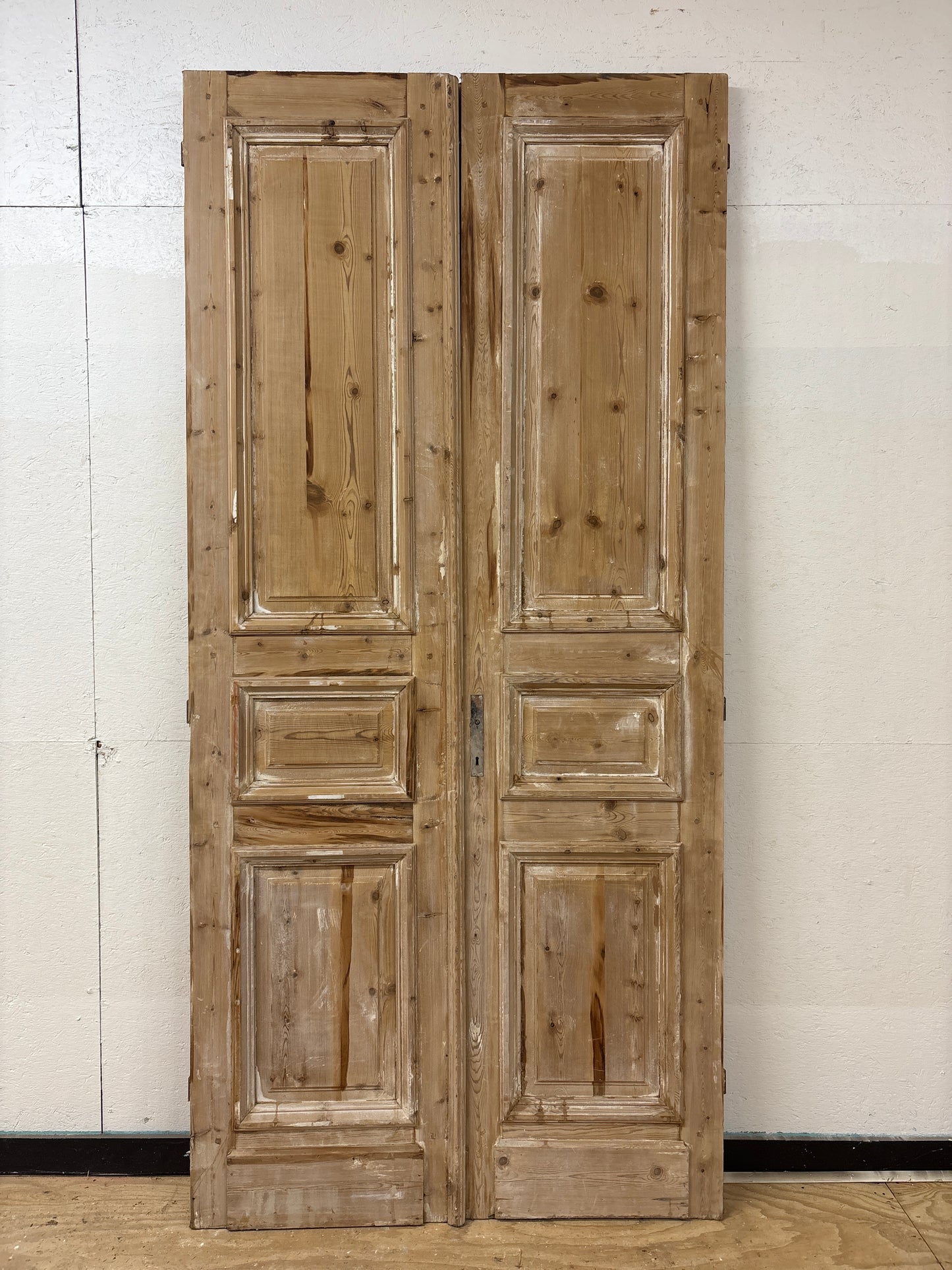 506479B European Solid 3 Panel Pair